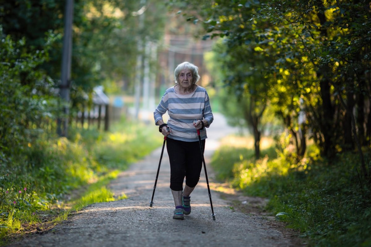 An elderly woman with ski poles is on the road. Nordic walking.