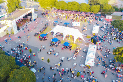 concert in city park. summer time. aerial view