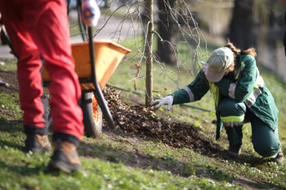 Woman in uniform planting a tree in a public park