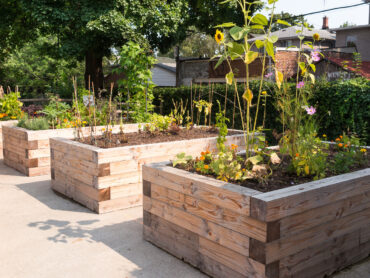 Raised garden beds in neighborhood garden