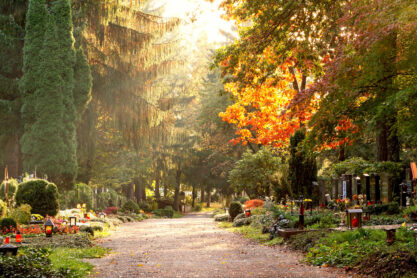 Herbstliche Szene am Waldfriedhof