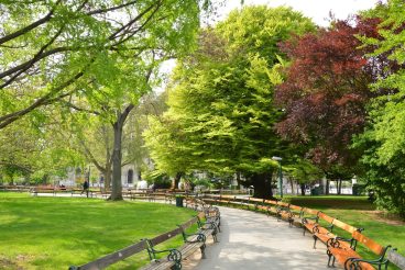 Park alley in Vienna. Spring time