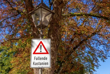 Was bedeutet Verkehrssicherungspflicht ?